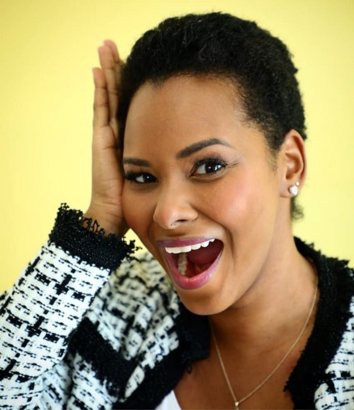 Diputada Walkiria Chandler D’Orcy: ‘Con mi afro en la Asamblea’