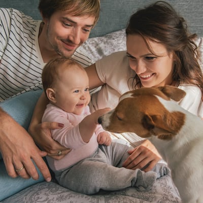 Perros y padres primerizos
