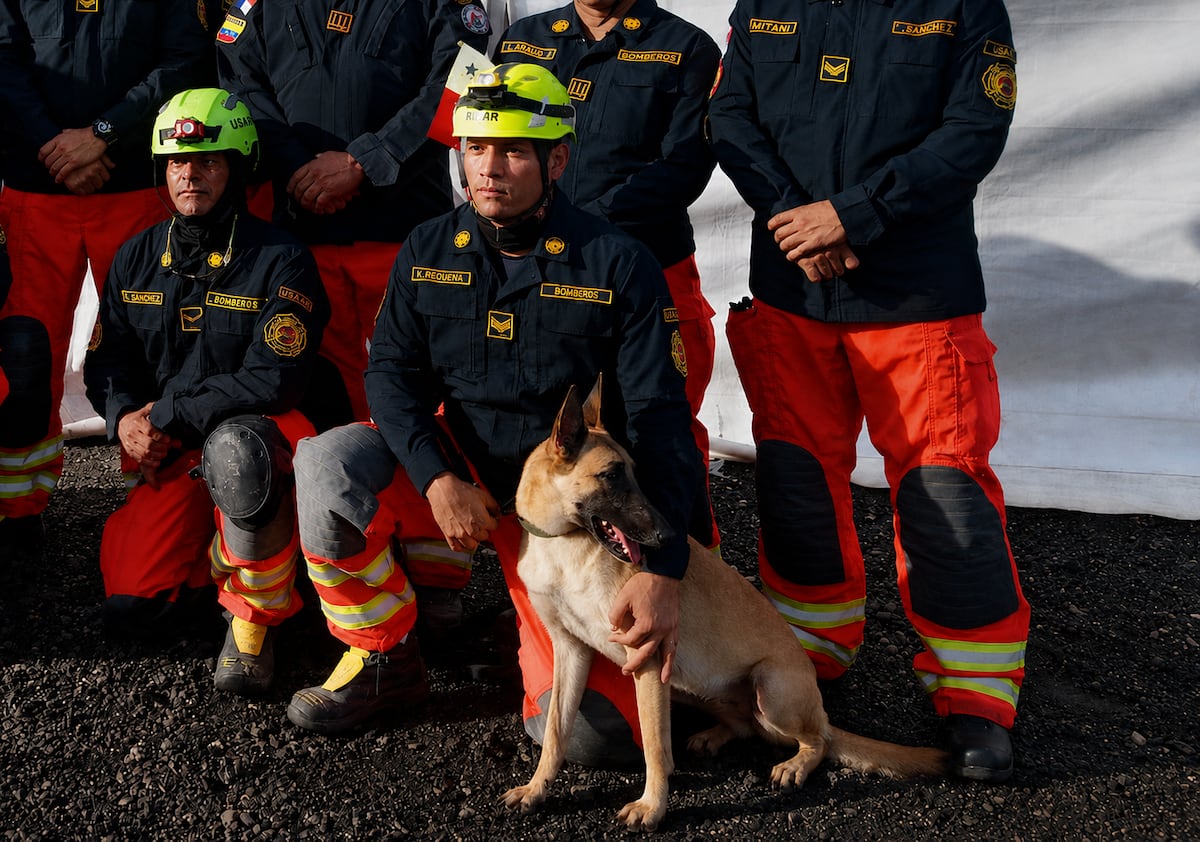 Entre ladridos y esperanza: la historia de los perros panameños que viajaron a Venezuela para buscar sobrevivientes