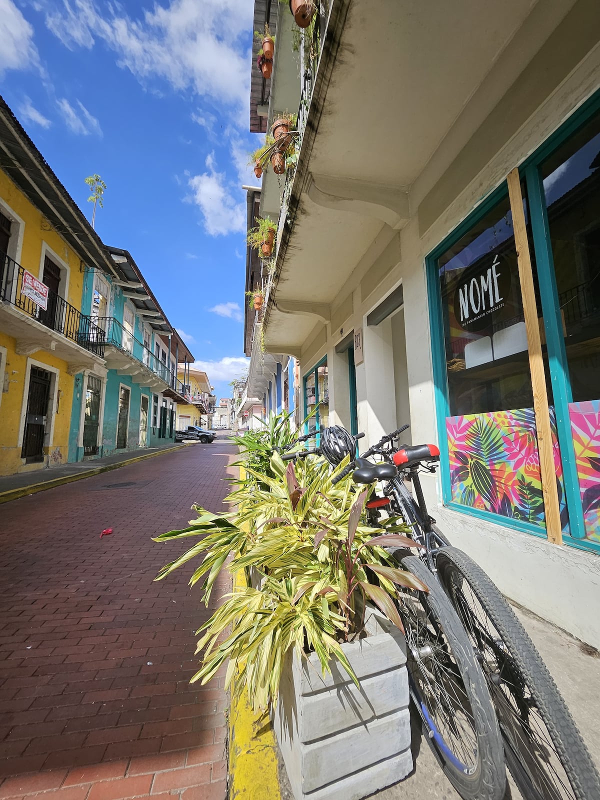 Un taller de chocolate para aprender sobre su dulce beneficio para la salud