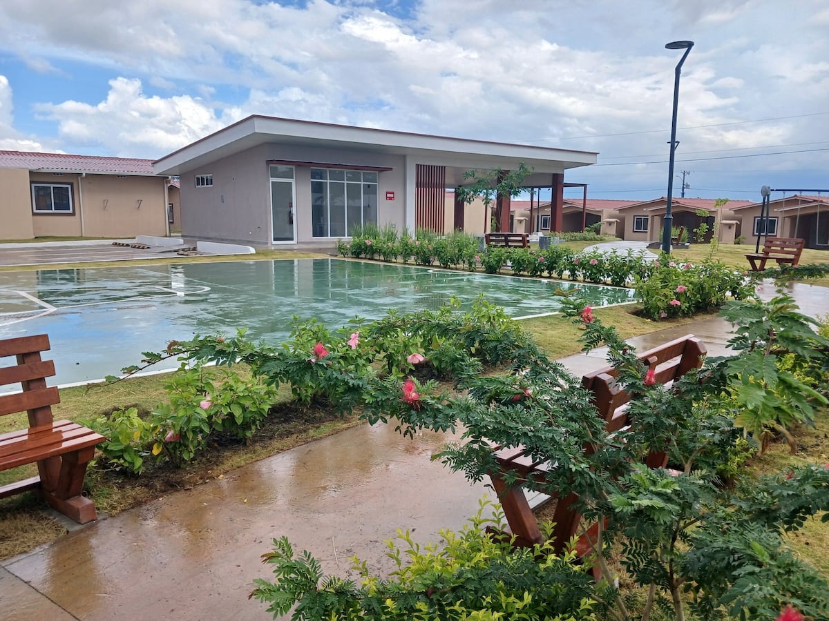 Un árbol frente a la ventana