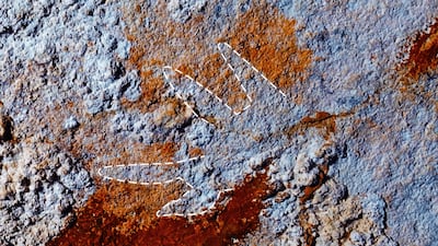 Por qué la pintura rupestre más antigua del mundo podría reescribir la cronología de la creatividad humana