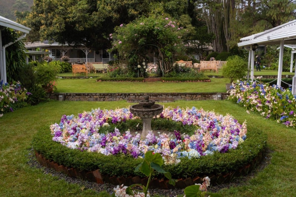 Bajo el cielo de Boquete: La boda de Alexandra y Alex