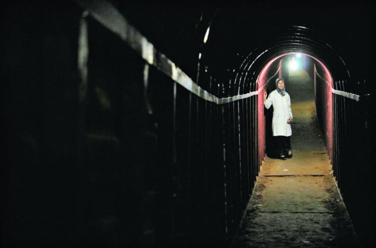 Nueve documentales y un corto animado que tienes que ver