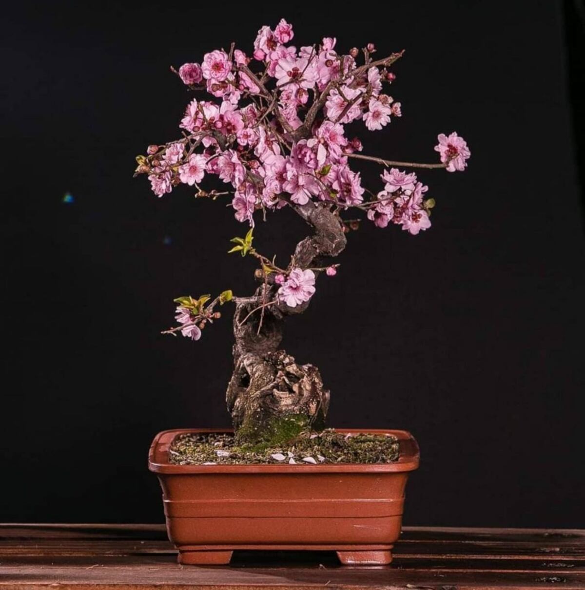 Aprendiendo y riendo juntas: 9 grupos de mujeres para unirse en Panamá