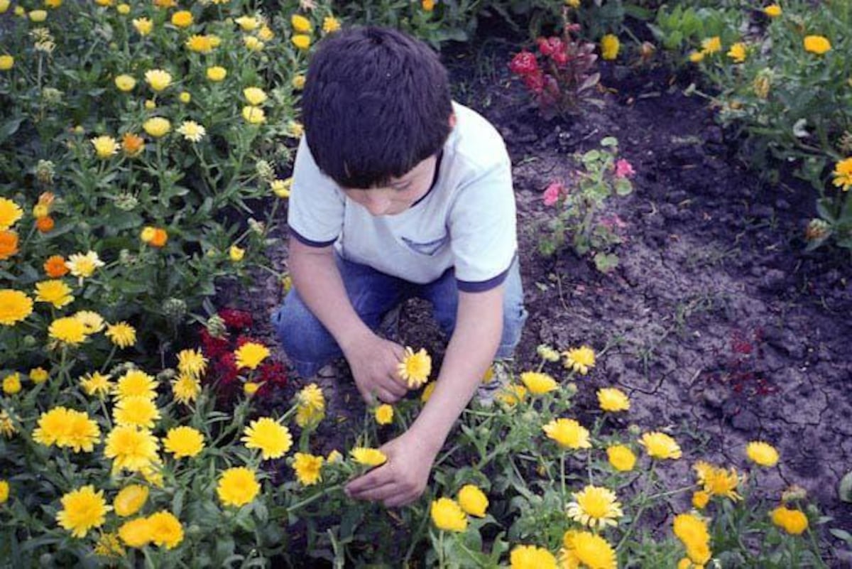Andrea Casamento, la argentina que se casó con un preso al que conoció cuando visitaba a su hijo en la cárcel