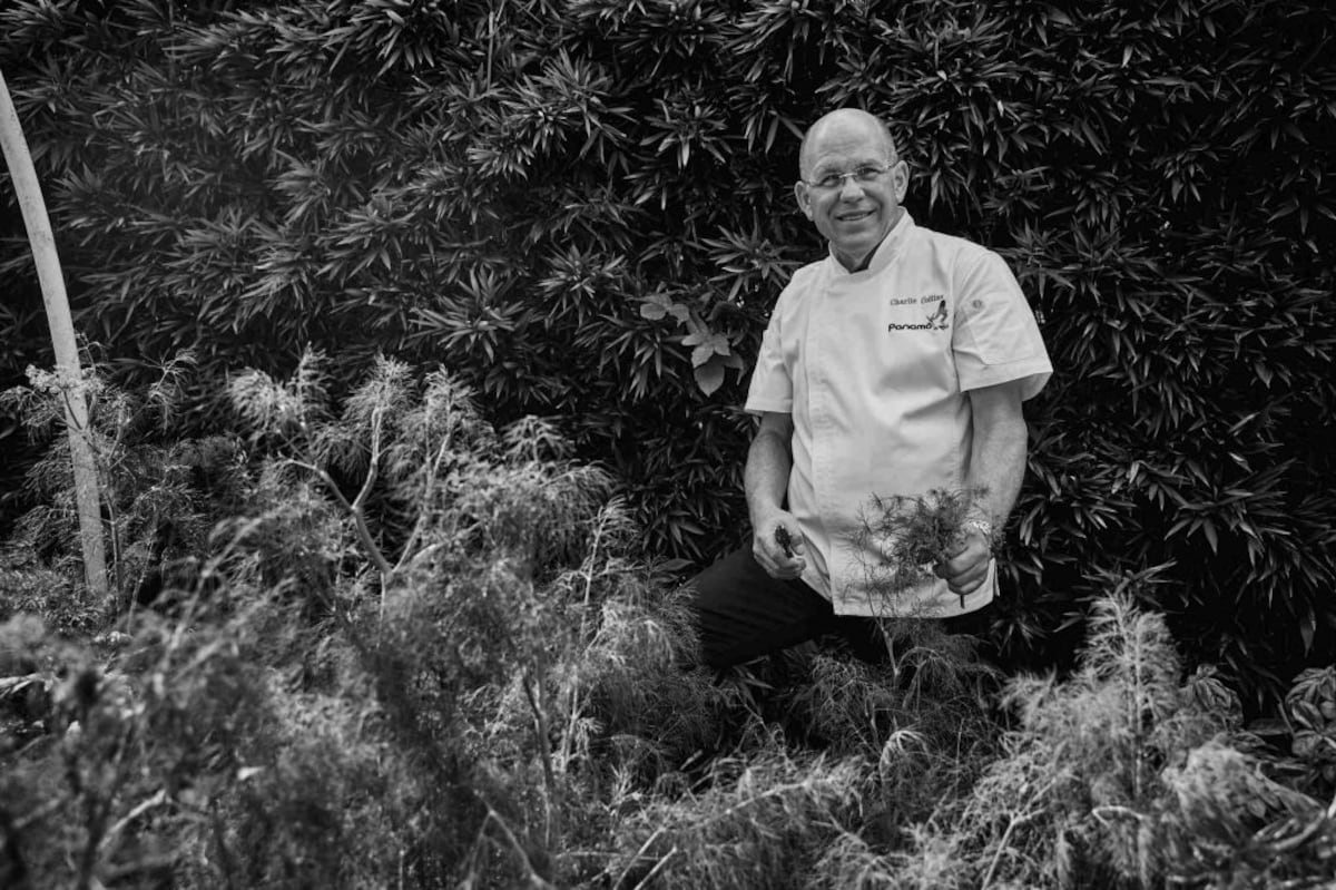 T’ACH Cocina Autóctona Panameña, el nuevo libro del chef Charlie Collins