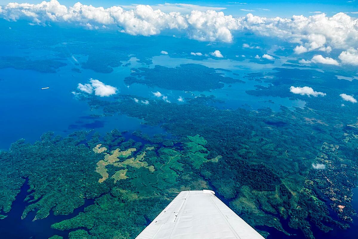 ¿Por qué la NASA está estudiando ecosistemas tropicales?