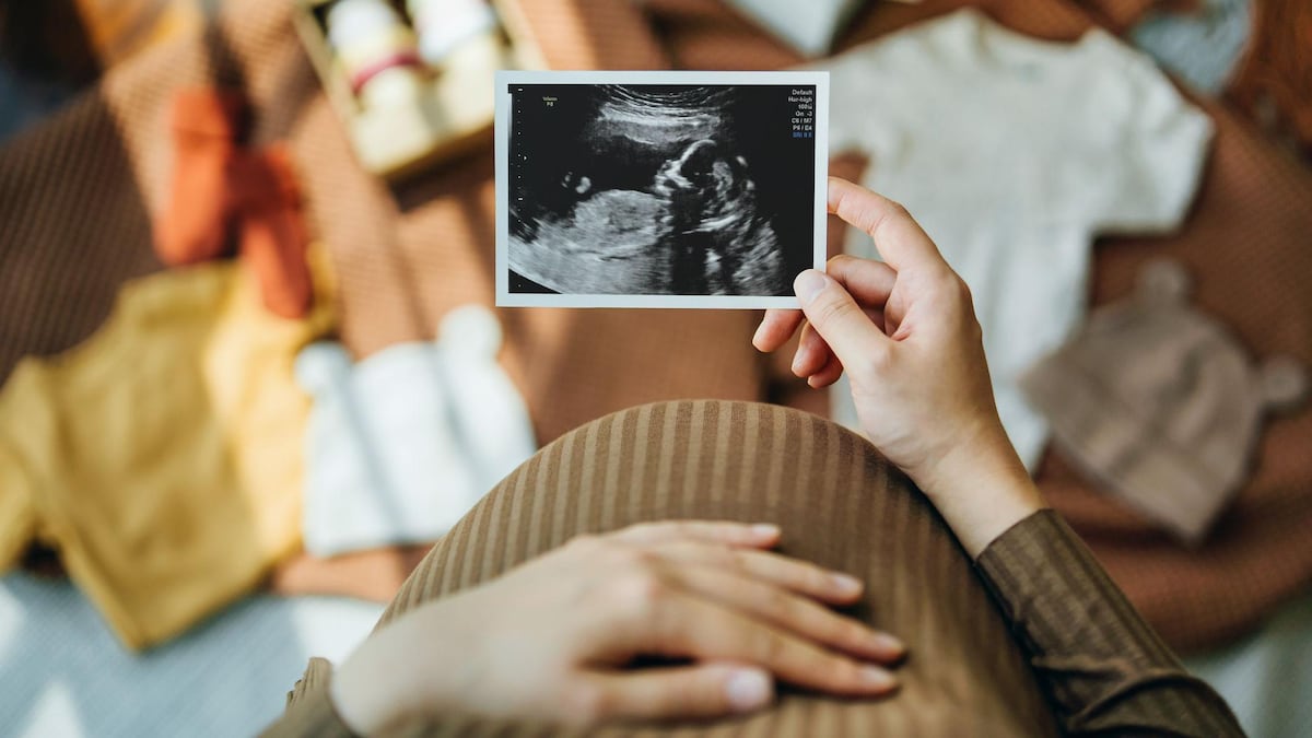 La sorprendente movilidad del útero y por qué es clave para el aparato reproductivo femenino