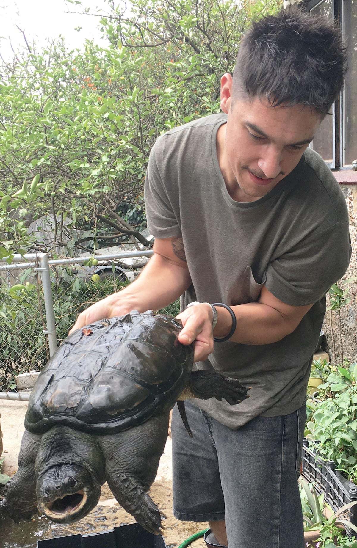 “Los zombis son algo patente y casi que predominante en el mundo animal”