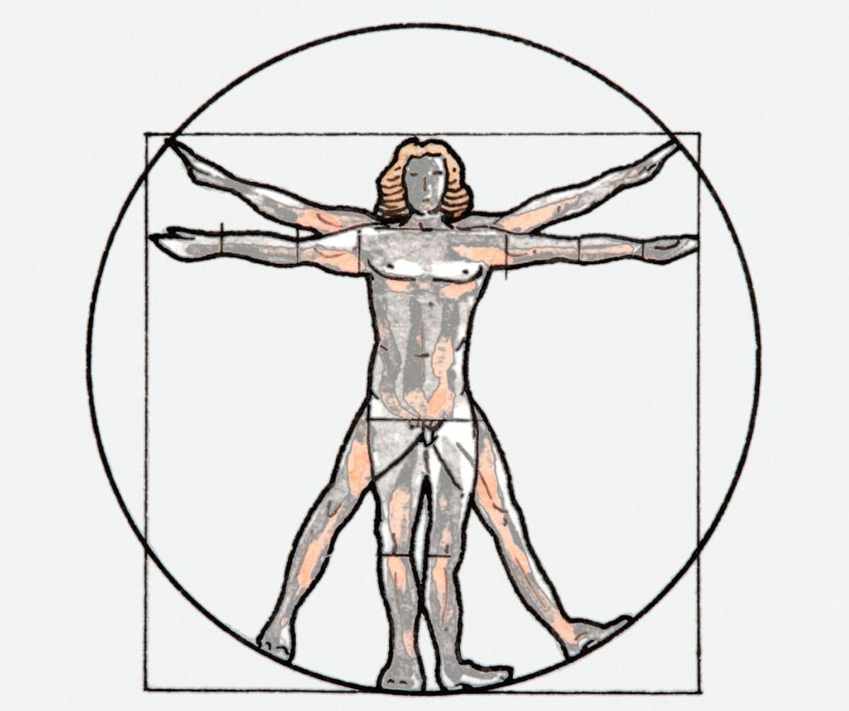 El cuerpo humano no es una obra maestra del diseño, sino un mosaico de compromisos evolutivos