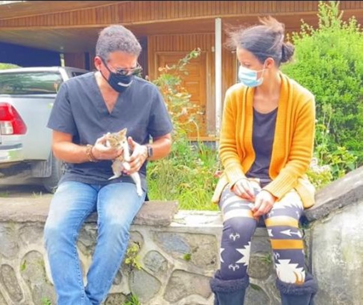 Por los animalitos en Bambito y Soloy, afectados por el huracán Eta