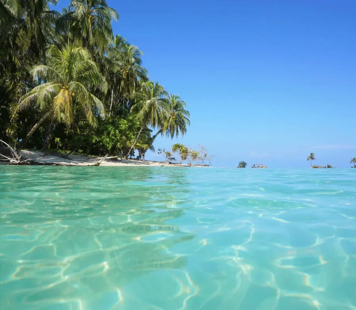 Cayo Zapatilla, en Bocas del Toro, es nombrada una de las 50 mejores playas del mundo en 2025