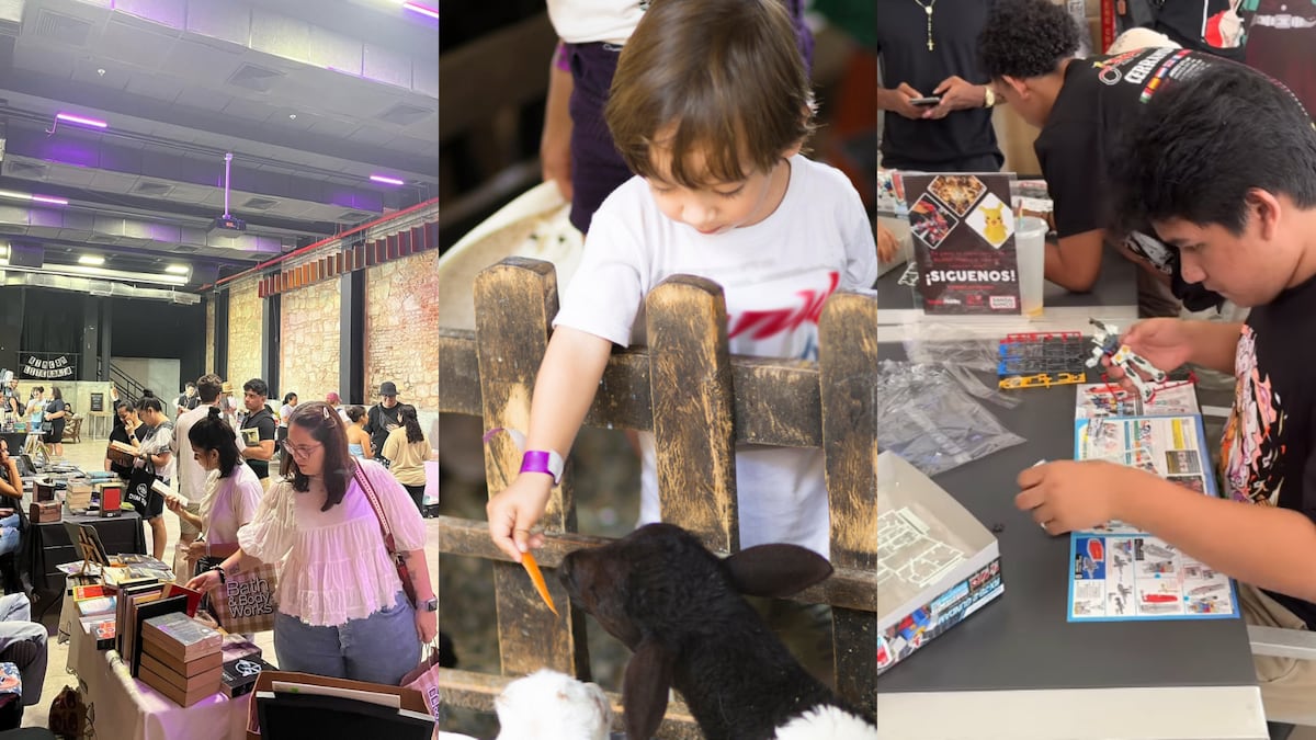 Actividades gratuitas para disfrutar este fin de semana en Ciudad de Panamá