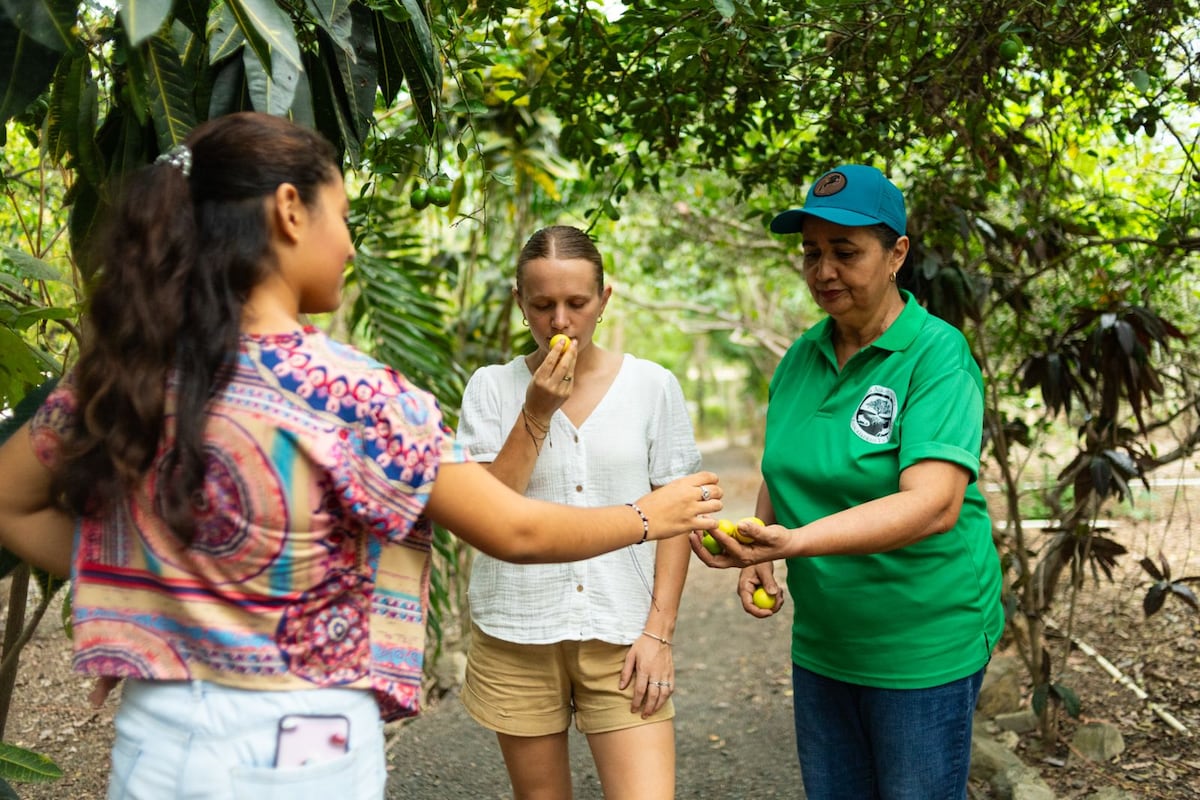 ¿Vas al Desfile de las Mil Polleras? Conoce que otras actividades puedes realizar en Las Tablas