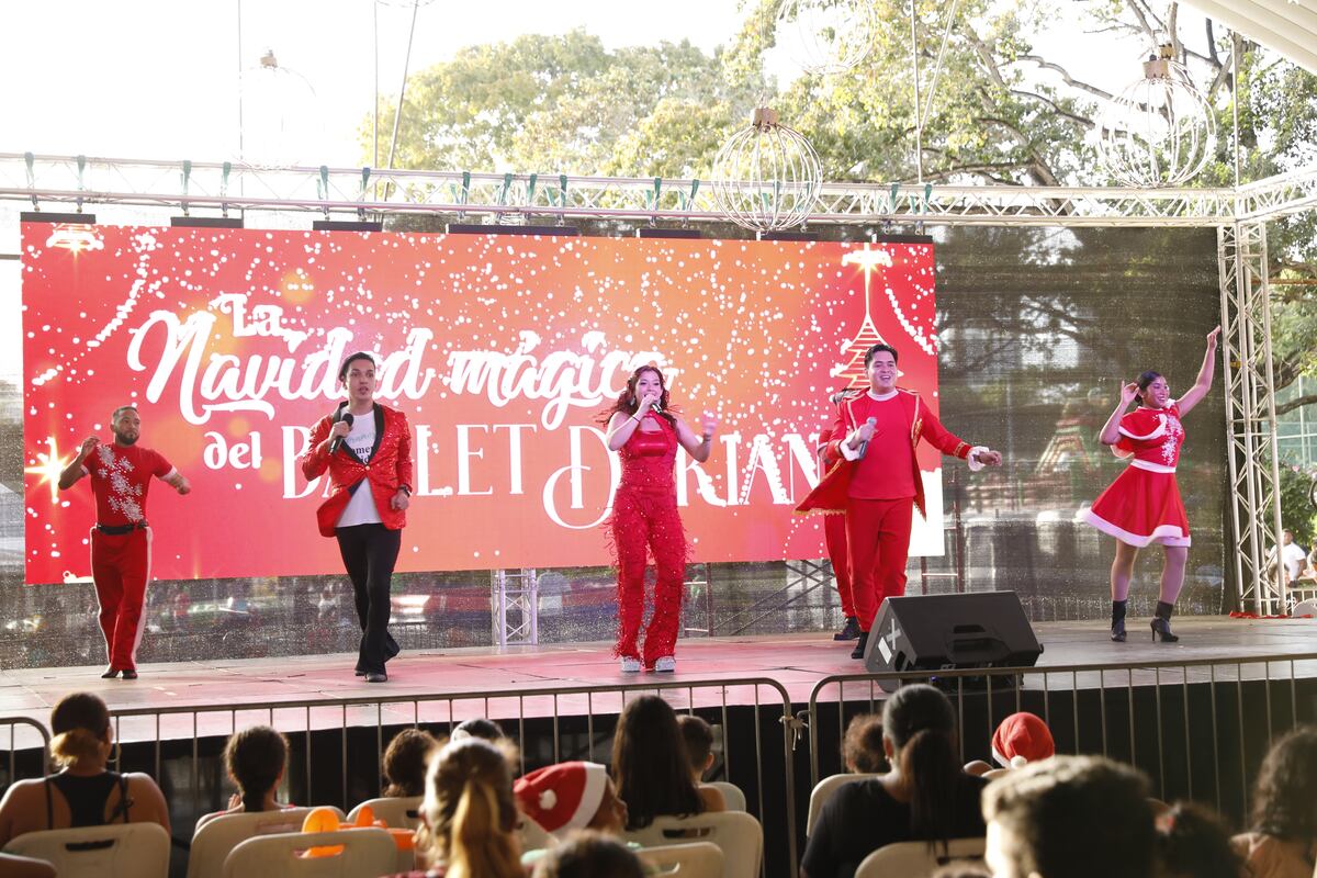 AGENDA CULTURAL: Este jueves bazar y concierto de Navidad en el Parque Omar