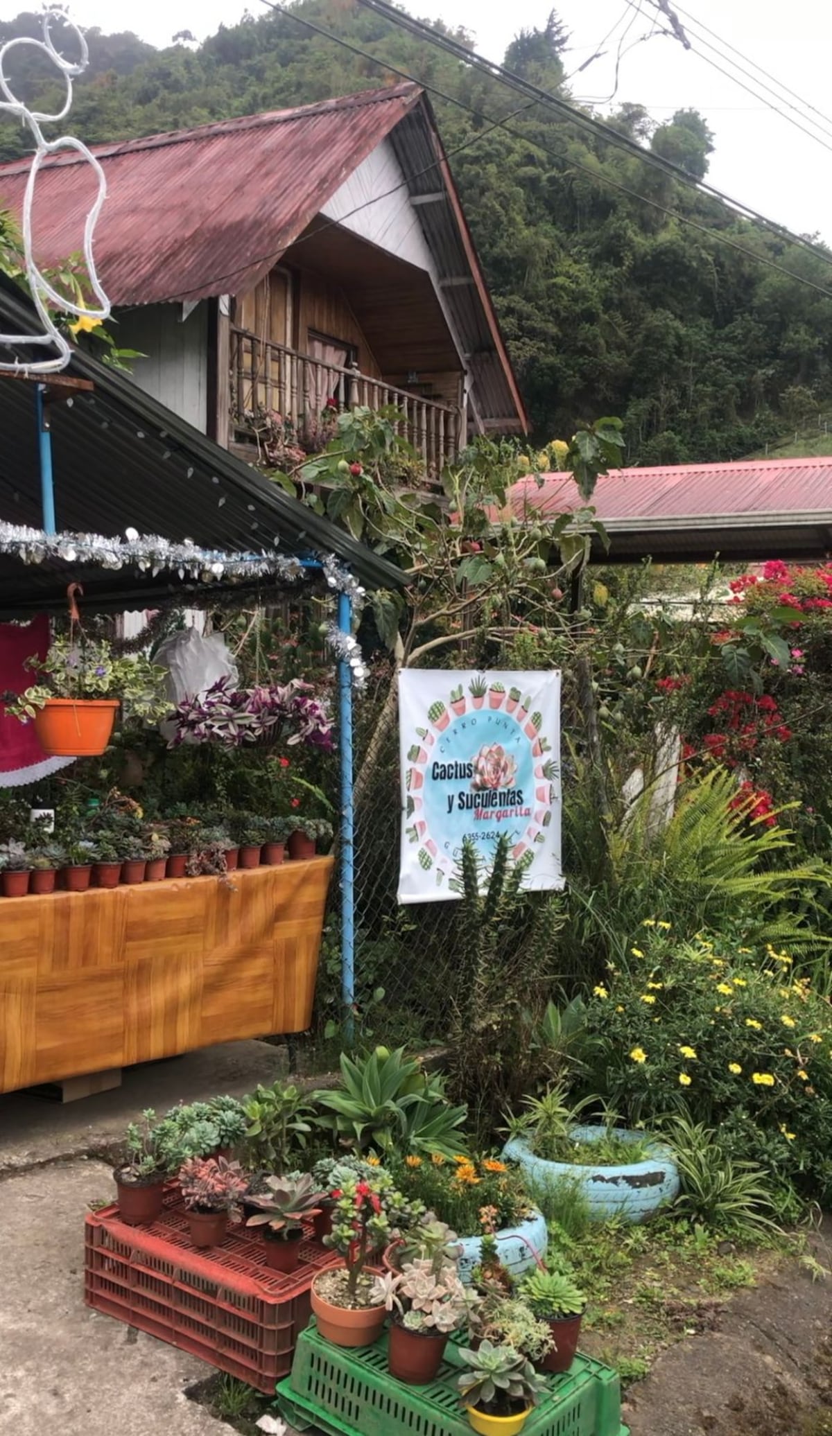 5 actividades que no te puedes perder si visitas Tierras Altas