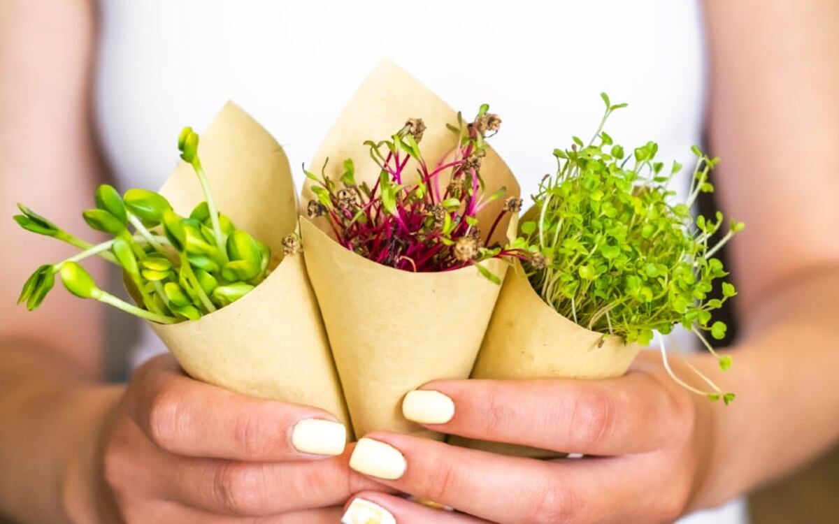 El impacto del veganismo sobre el medio ambiente