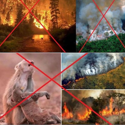 Las imágenes ‘engañosas’ del incendio de Amazonas