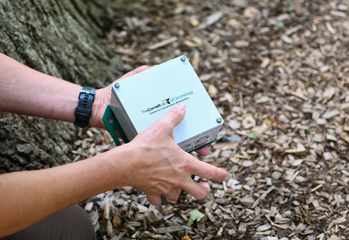 Del sonido a la ciencia