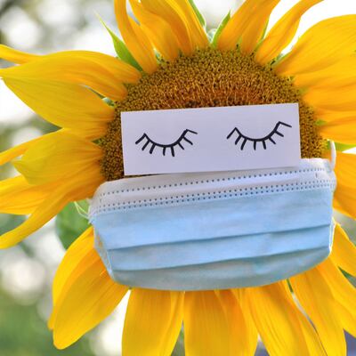 Quién se ha robado el 2020