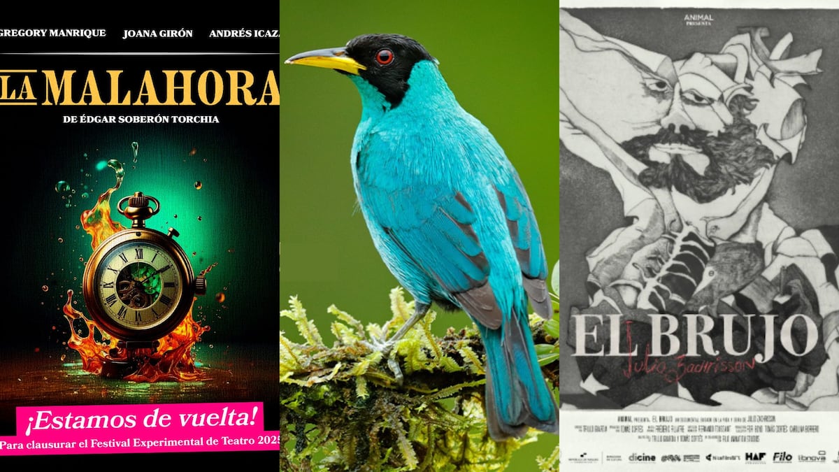 ¿Qué hacer este fin de semana? siete actividades que no te puedes perder