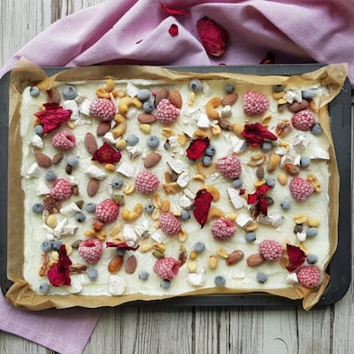 Plancha de yogur congelado con frutas y nueces mixtas
