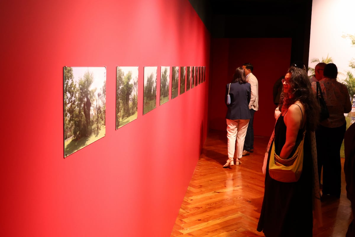 Un jardín clandestino a orillas del Canal de Panamá, pausa frente al veloz comercio global