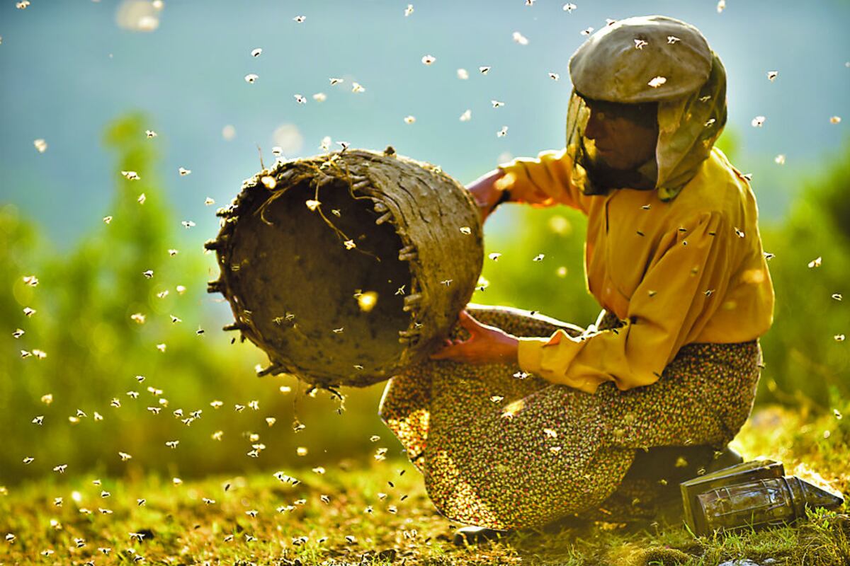 Nueve documentales y un corto animado que tienes que ver