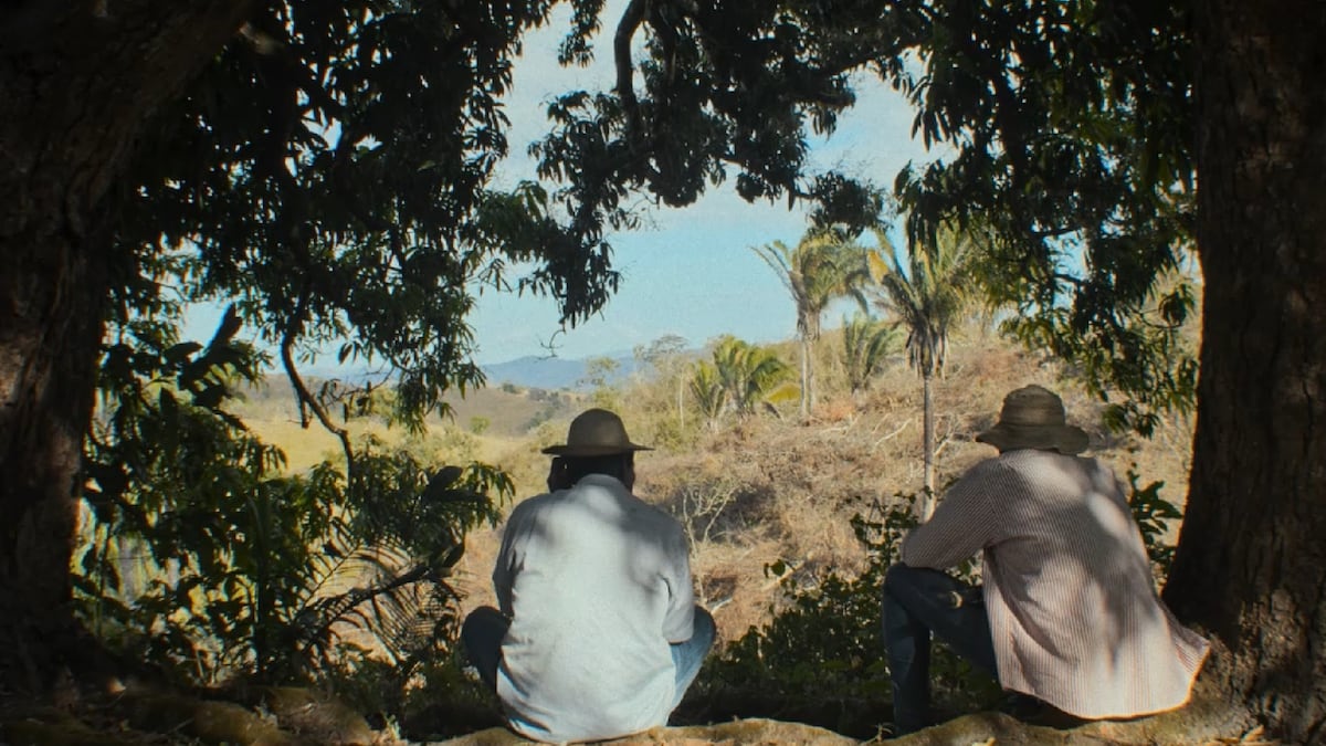 Las 7 películas panameñas que se proyectarán en el IFF Panamá 2026