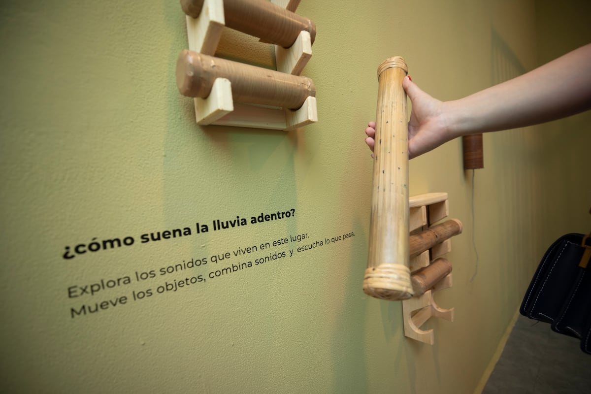 Un ‘jardín salvaje’ vivo: la exposición infantil del Museo de Arte Contemporáneo