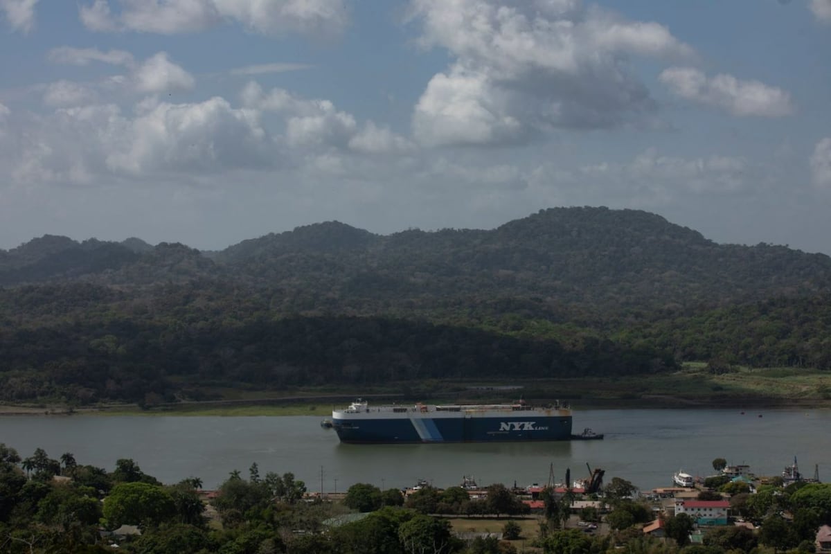 Gamboa desde el aire, recorriendo el bosque en teleférico y líneas de canopy