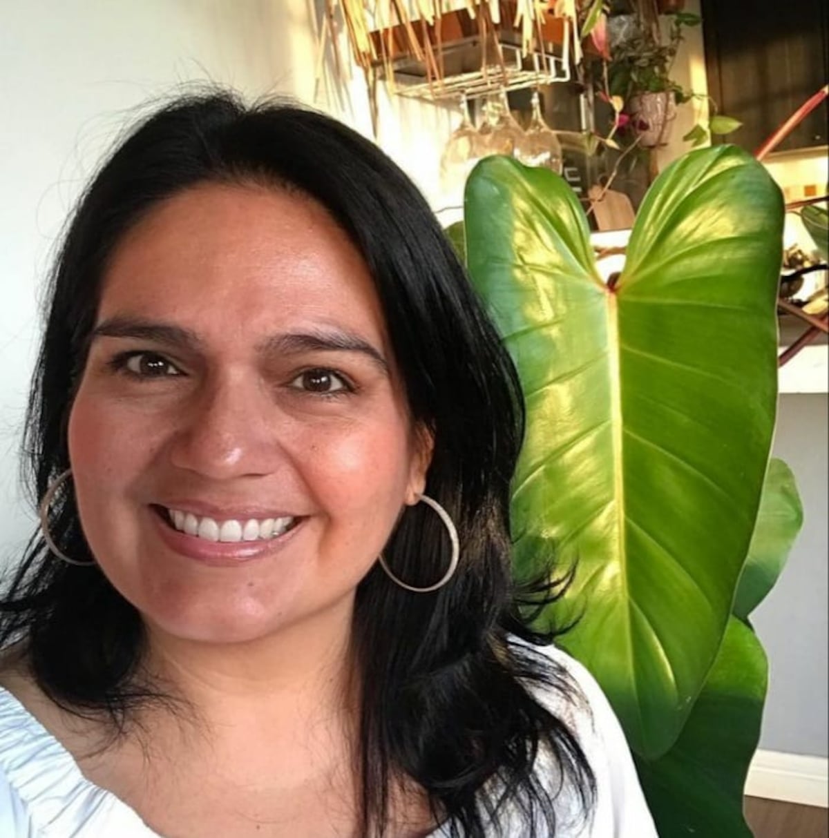 11 cuentas de Instagram en Panamá para ‘plant lovers’