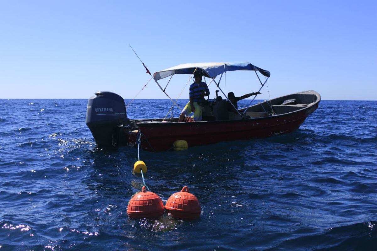 El impresionante mar azul de Coiba