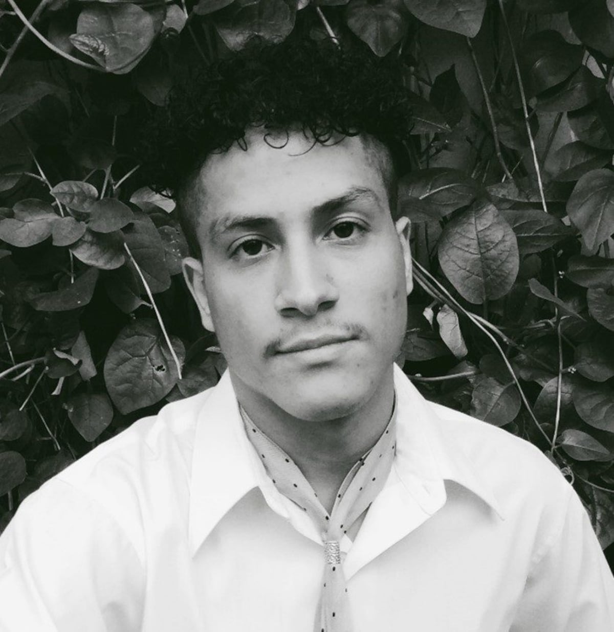 Entre encierro y letras, un libro de poemas panameños surgidos en cuarentena