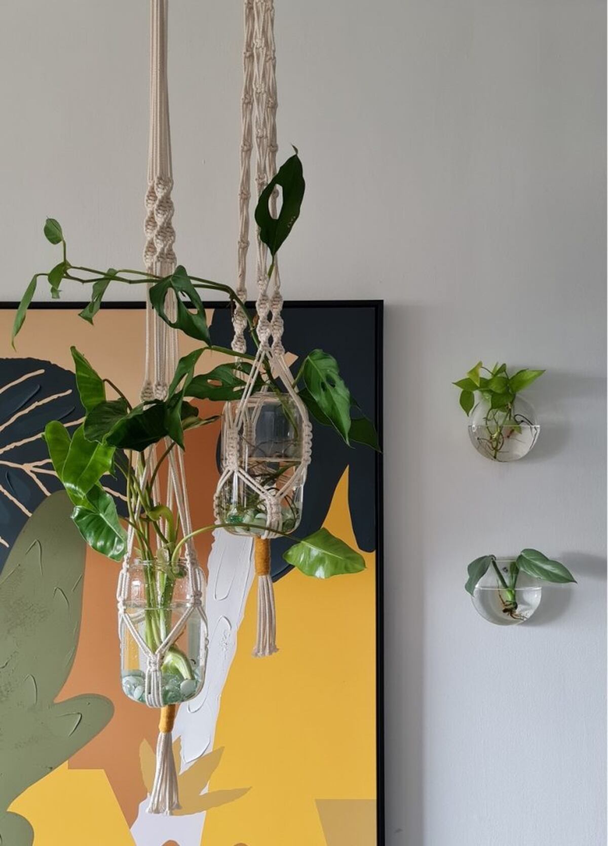 Dónde colocar las plantas (para que vivan felices) en un apartamento
