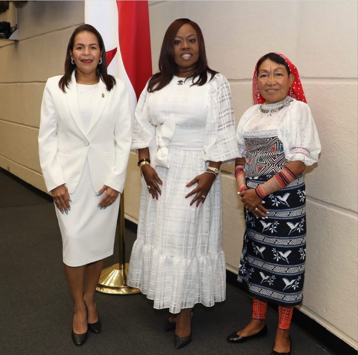 De blanco en la Asamblea Nacional