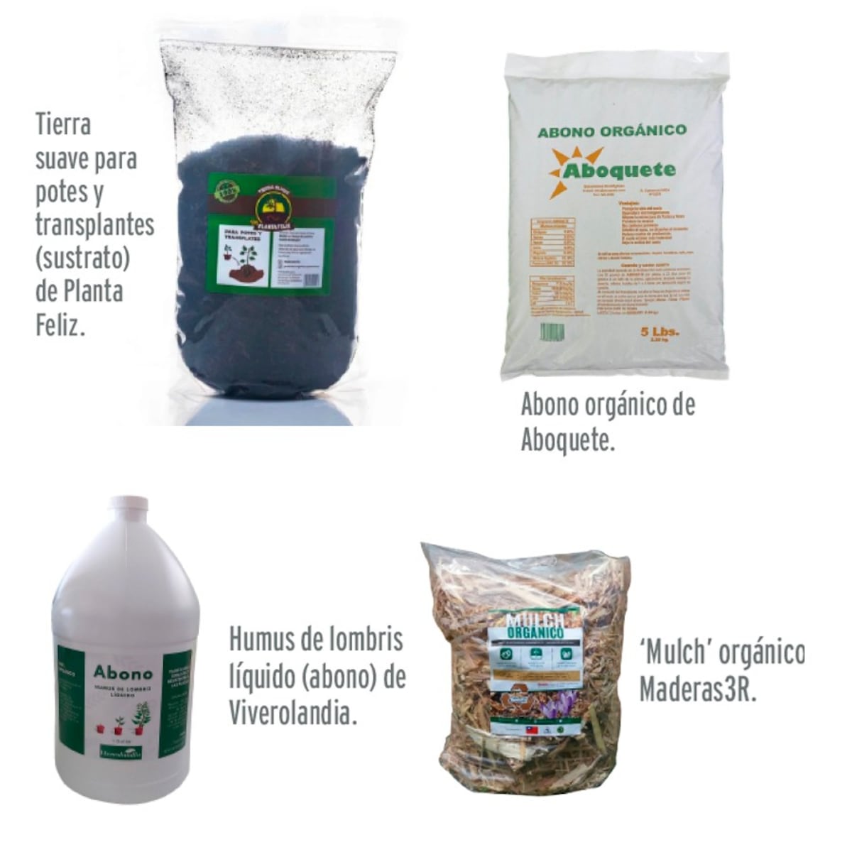 Cómo cuidar mis plantas en temporada seca en Panamá