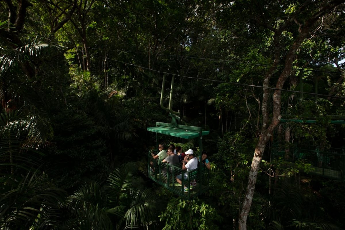 Gamboa desde el aire, recorriendo el bosque en teleférico y líneas de canopy