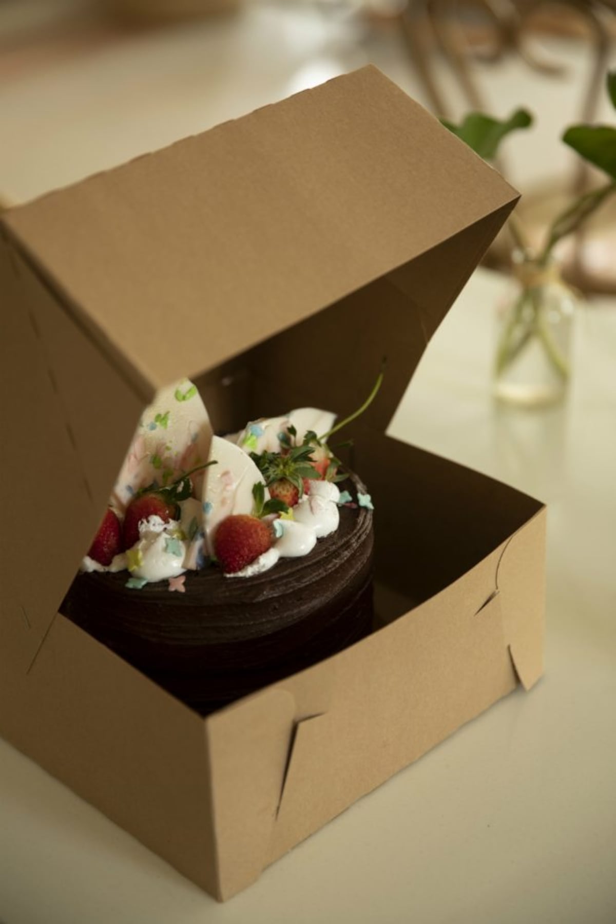 El nuevo hogar de Cuquita Cookita