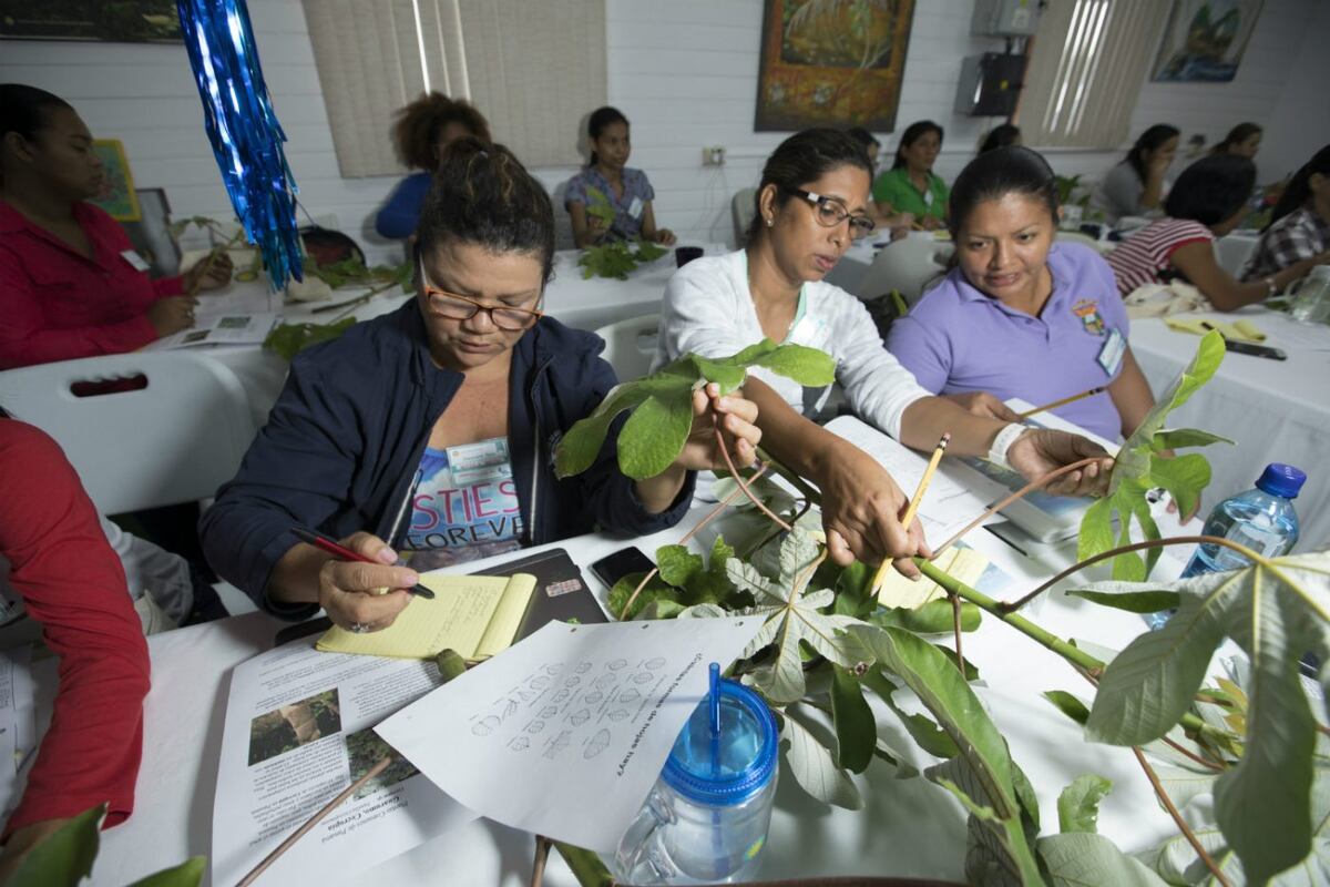 Ciencia frente al mar