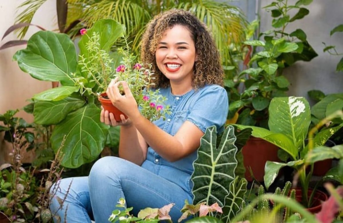 11 cuentas de Instagram en Panamá para ‘plant lovers’