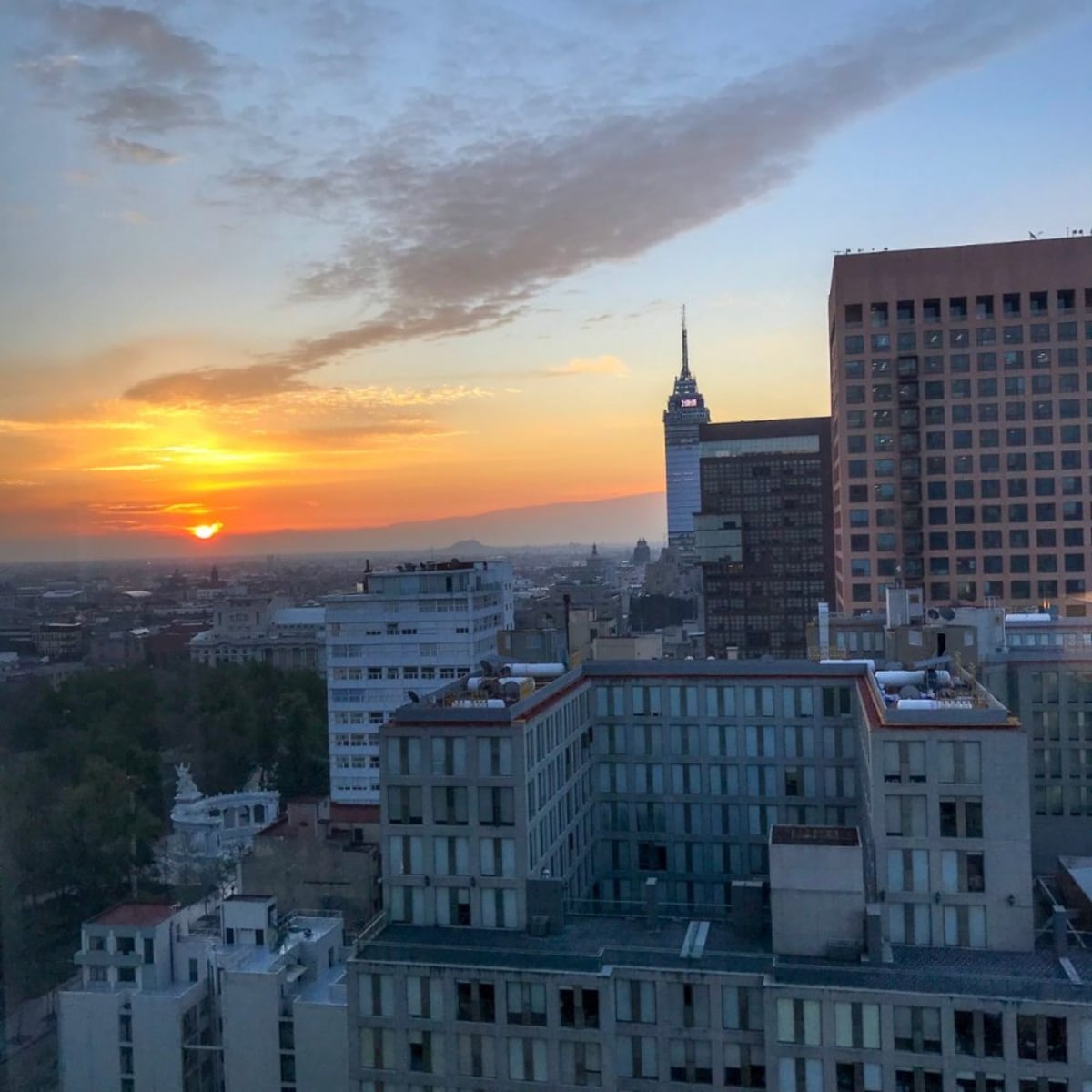 40 horas en Ciudad de México