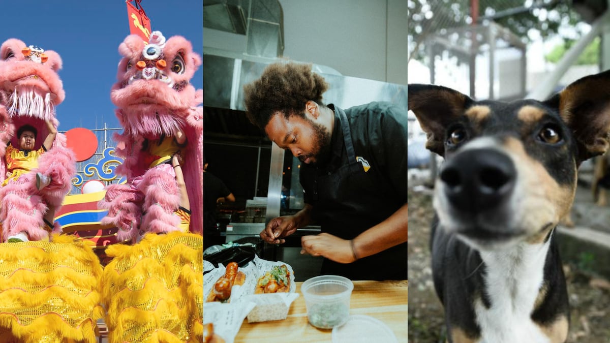 ¿Qué hacer este fin de semana en Panamá?