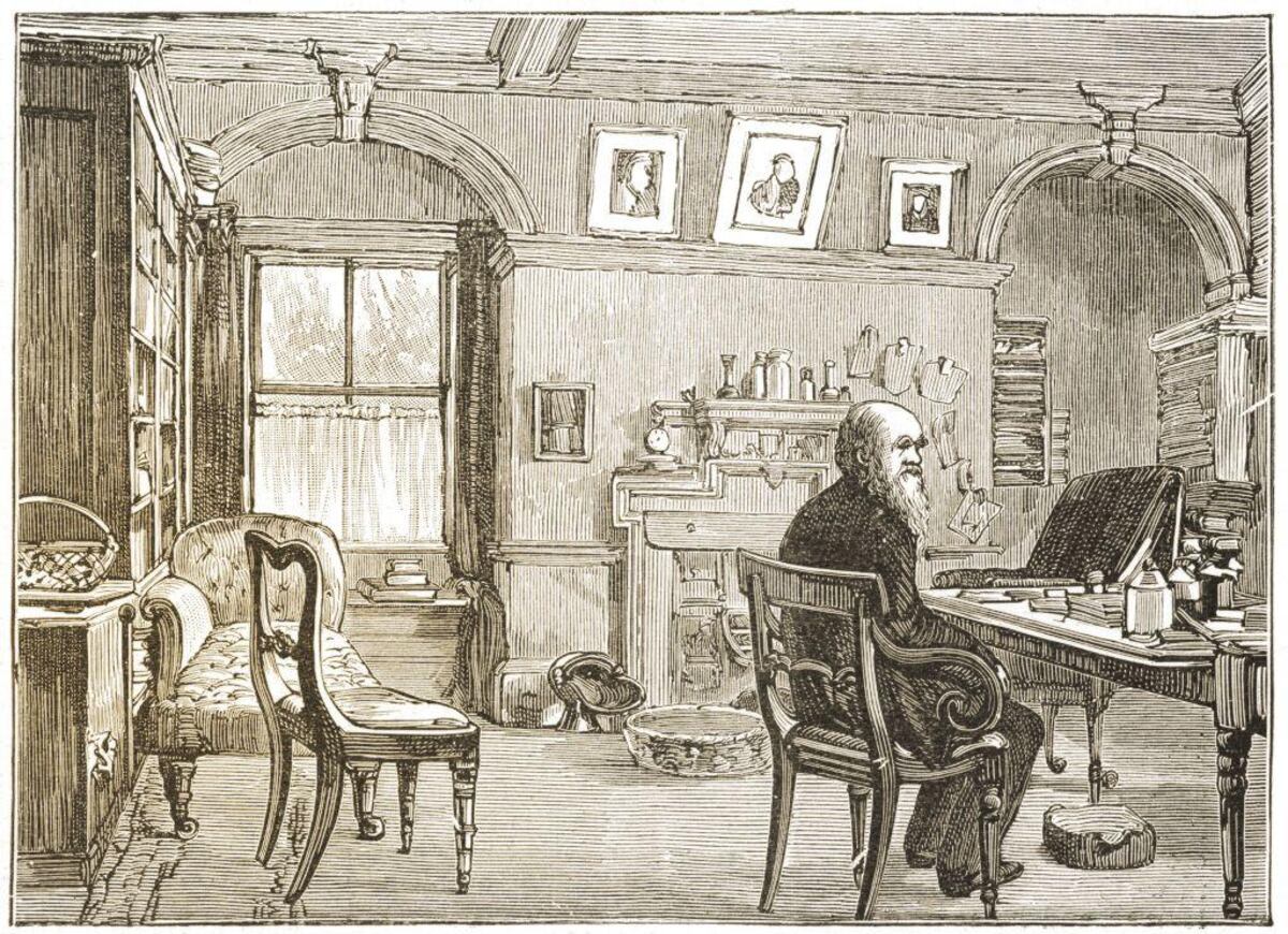 La lista de pros y contras de casarse que hizo Darwin (y las ventajas que ni él ni otros genios reconocieron)