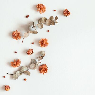 Te sienta bien el otoño