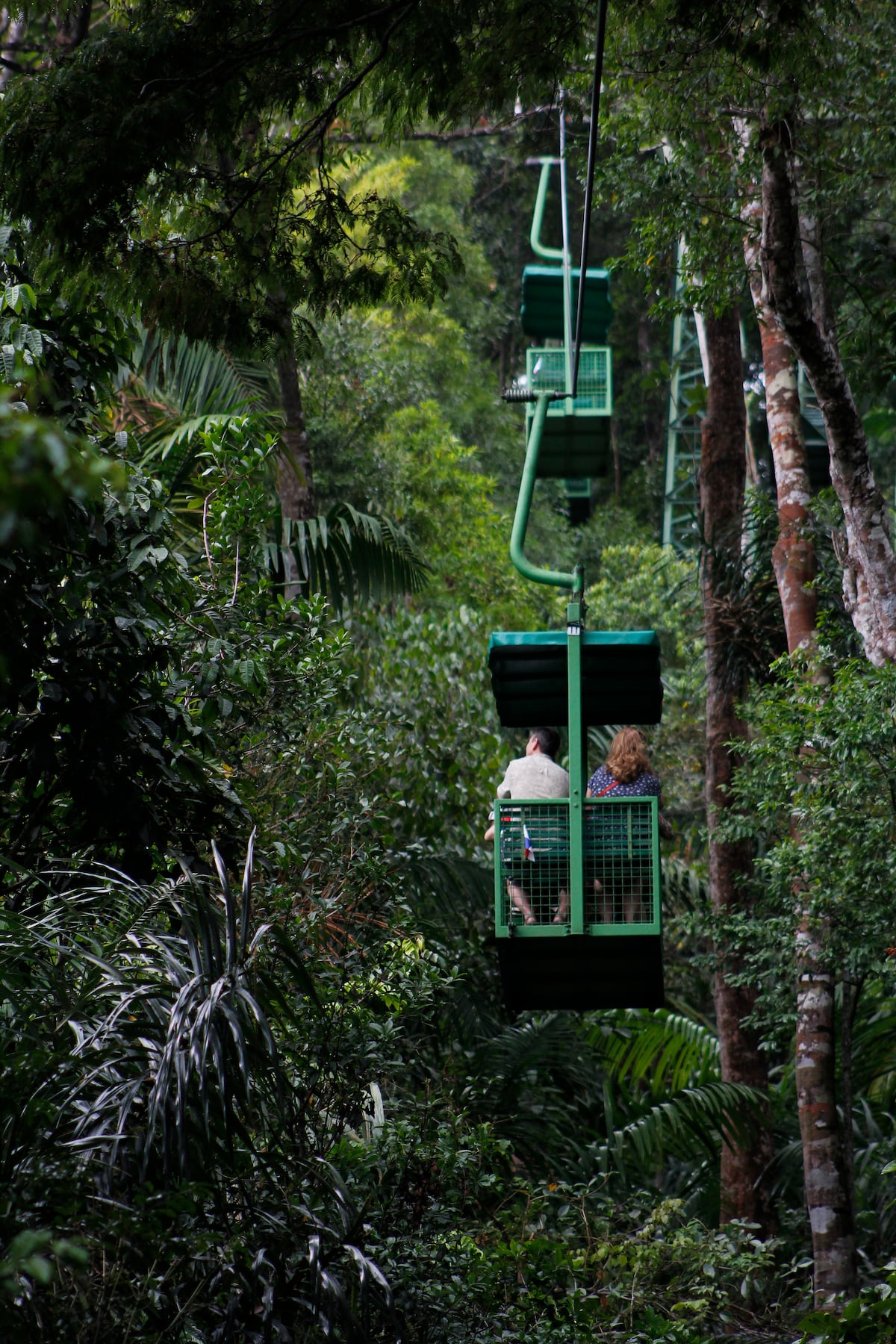 Experiencia Gamboa Rainforest Reserve en Familia