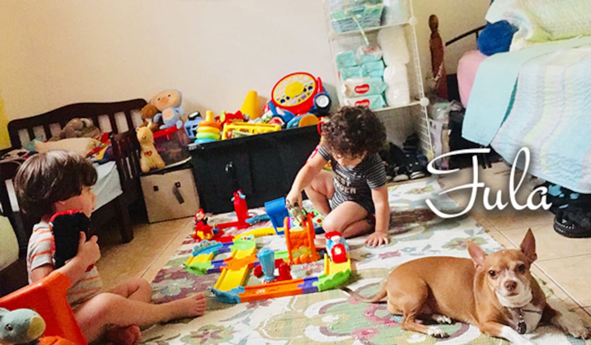 ‘Mis hijos perrunos’, ‘Mis niñas’, ‘Mi perrihija’, el Día Mundial del Perro en Panamá