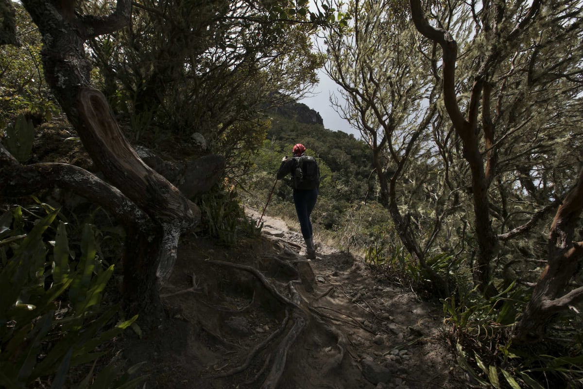 Jorge López, hasta la cima del volcán
