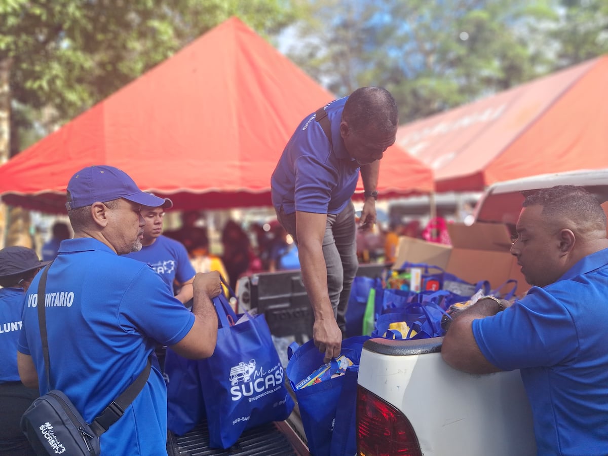 Voluntarios en acción